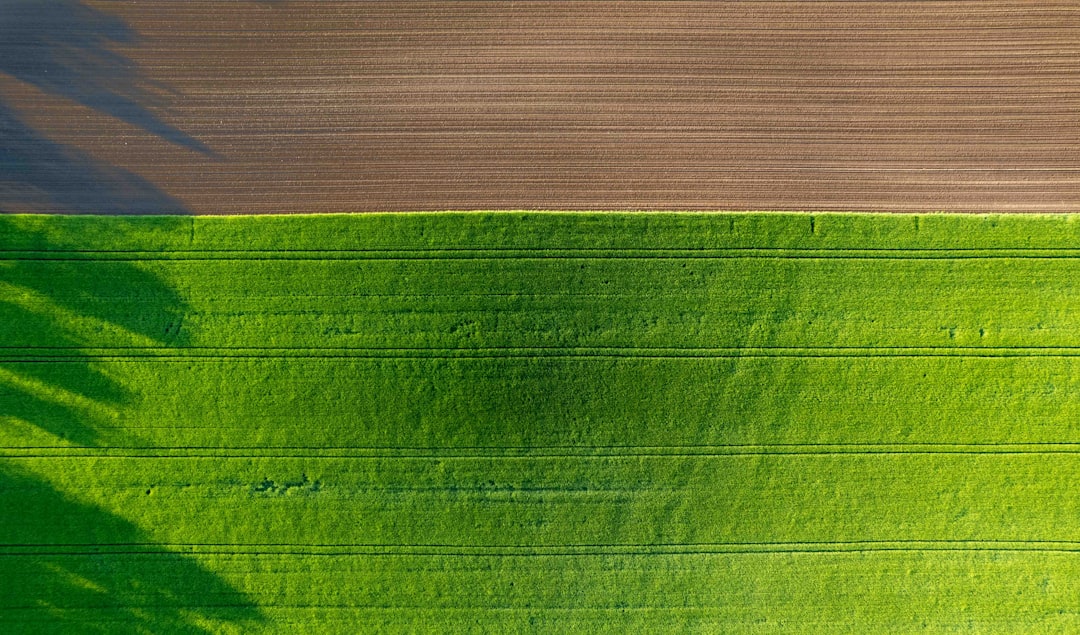 Photo Crop fields