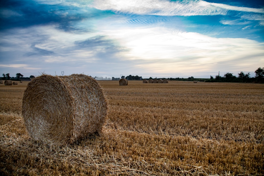 Photo Agricultural Inspection